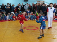 Региональный турнир по борьбе самбо, посвященный памяти Т. В. Шарыпова