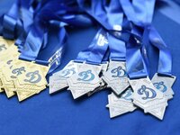 Новогодний лично-командном Кубок Тульской областной организации «Динамо»