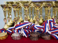 Всероссийский турнир по борьбе самбо, посвящённый памяти ЗТР В.И. Лысенко