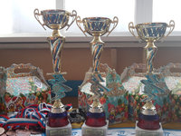 Традиционный новогодний турнир по борьбе самбо среди юношей 2006-2007 г.р.