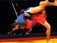 ПОЛОЖЕНИЕ о проведении Межрегионального турнира по борьбе самбо